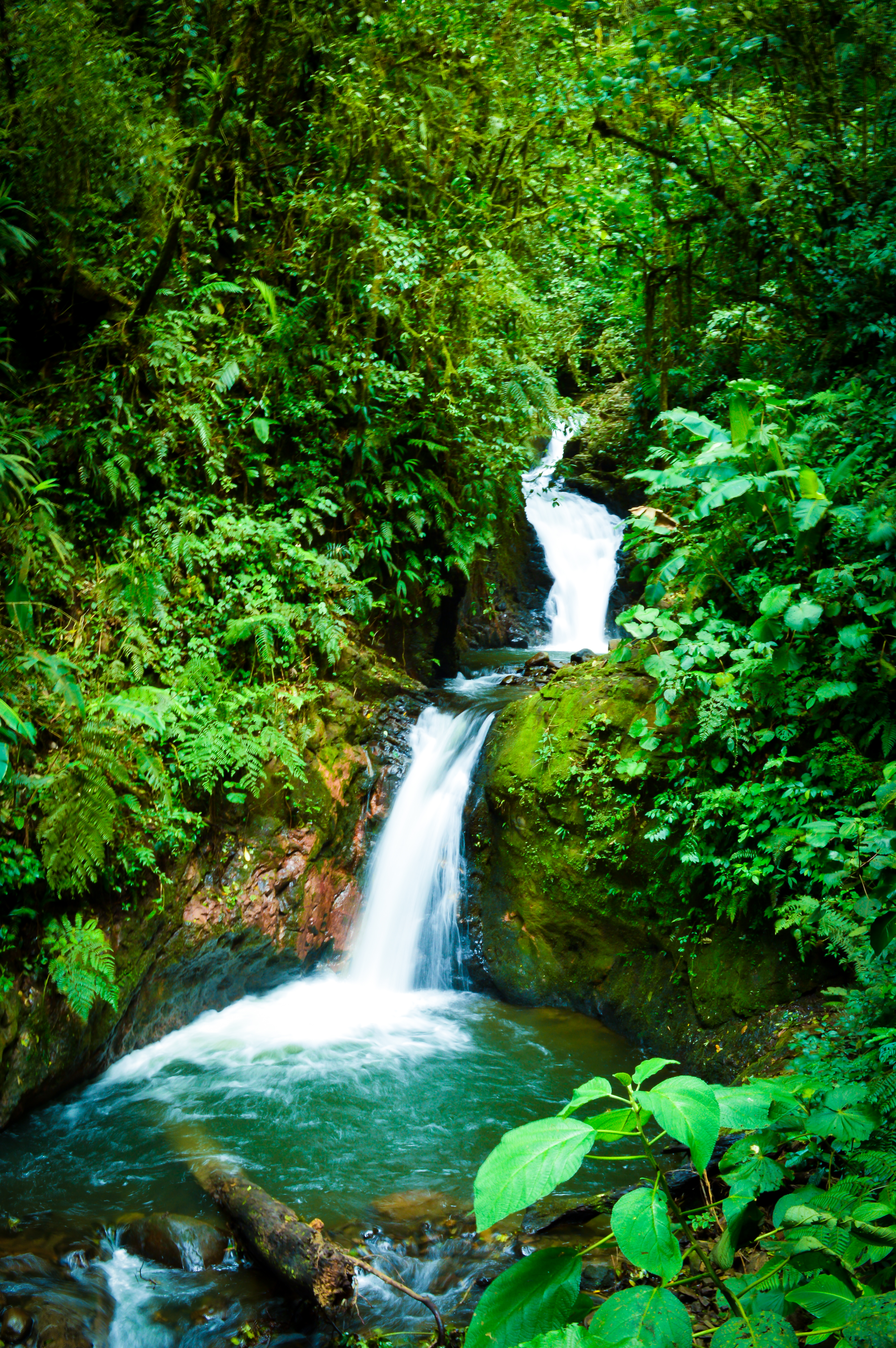 Monteverde Cloud Forest Waterfall