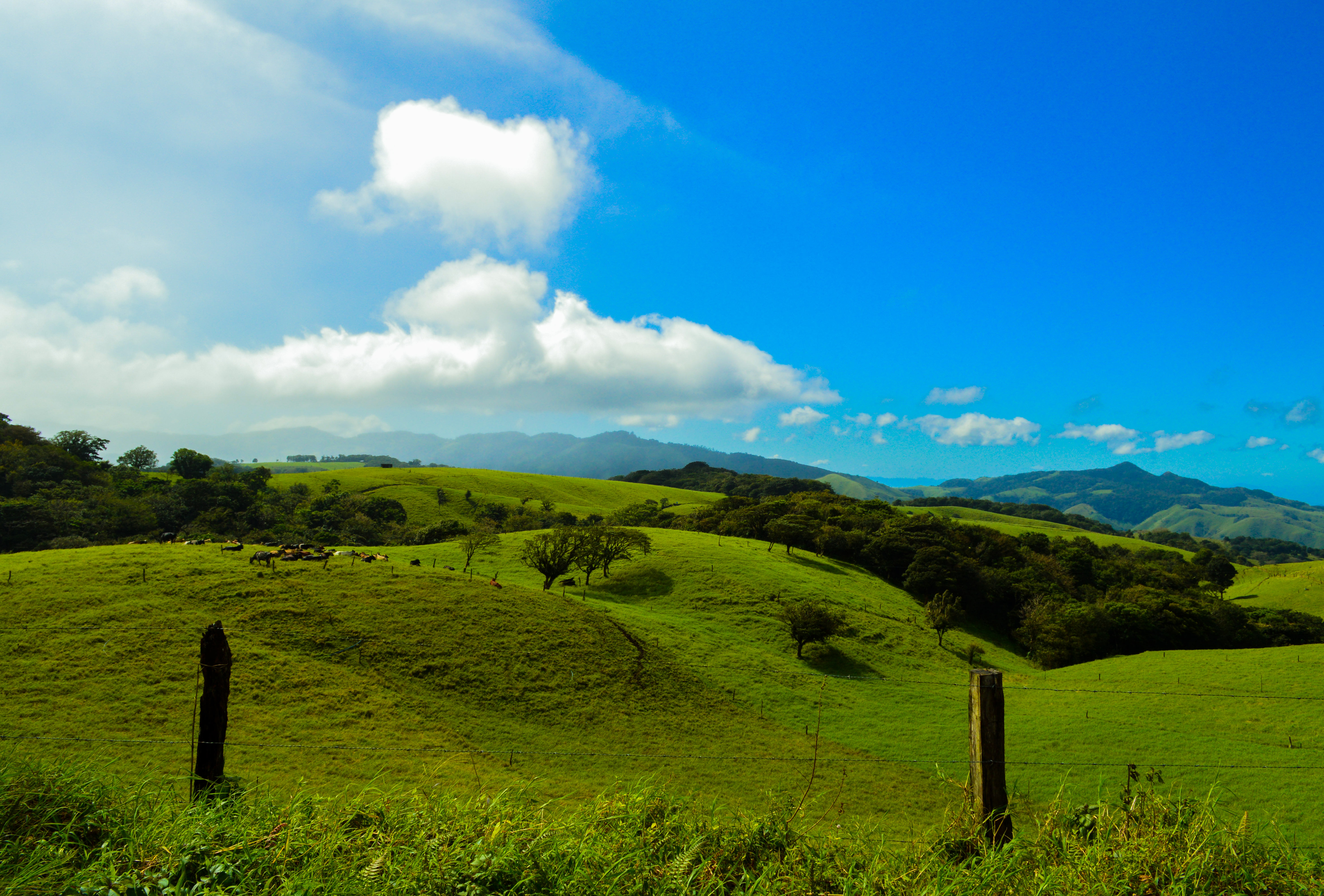 Rolling Hills of Monteverde
