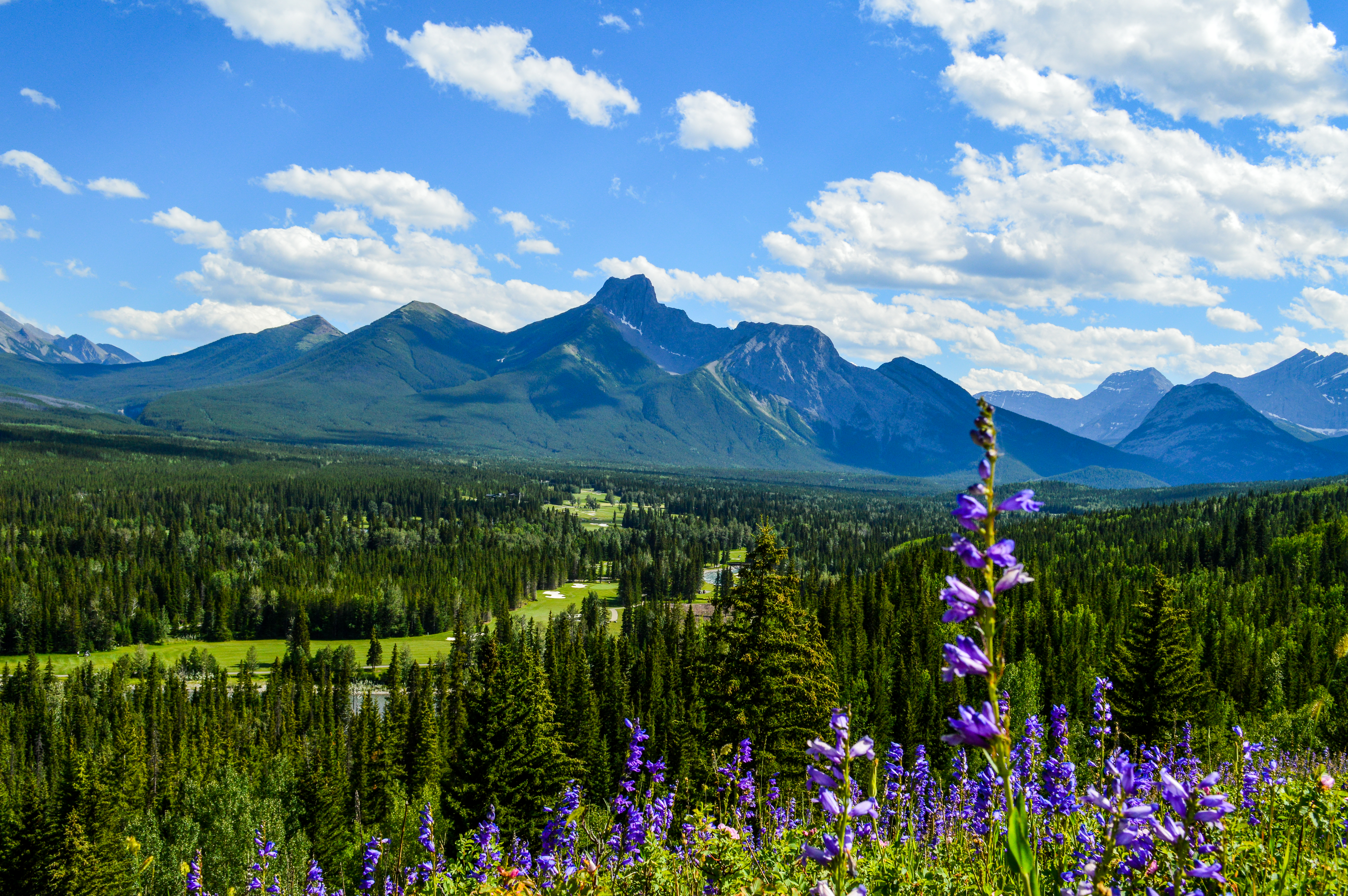 Kananaskis Mountain View